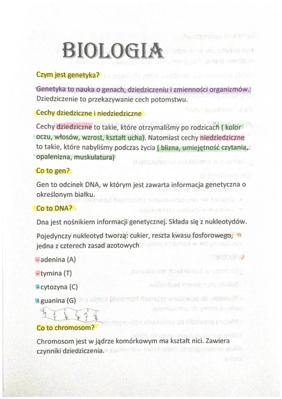 # BIOLOGIA

Czym jest genetyka?da pár

Genetyka to nauka o genach, dziedziczeniu i zmienności organizmów.
Dziedziczenie to przekazywanie cec