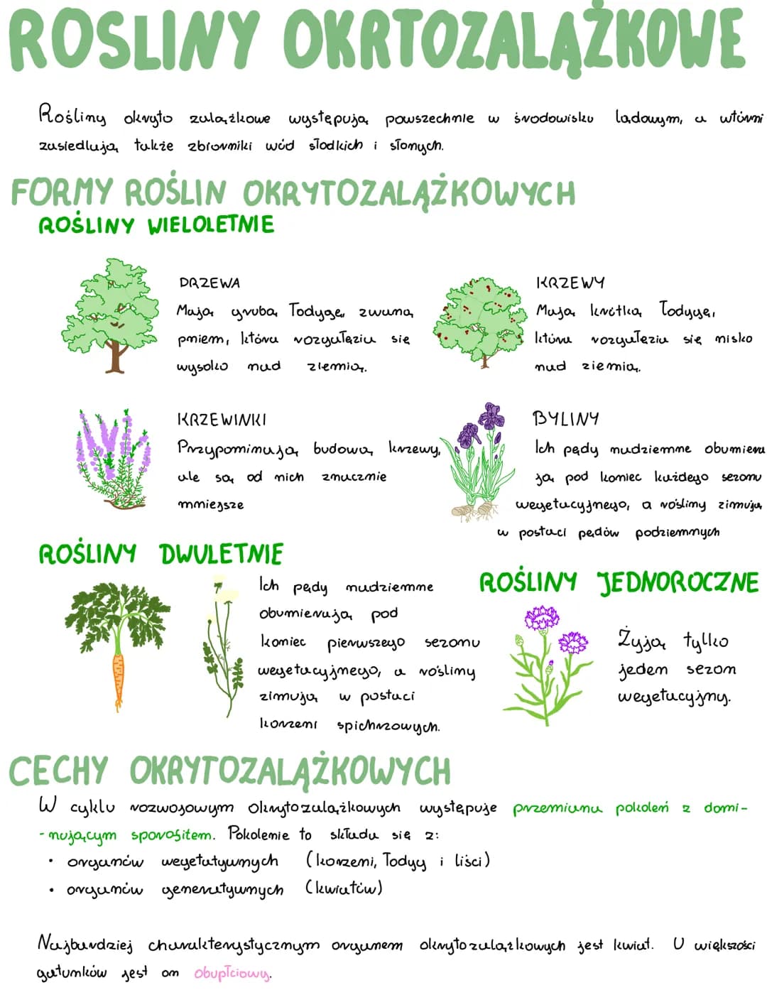 ROSLINY OKRTOZALĄŻKOWE
Rośliny okvyto zalążkowe występują powszechnie w środowisku ladowym, a włówni
zusiedlują tukże zbiorniki wod słodkich