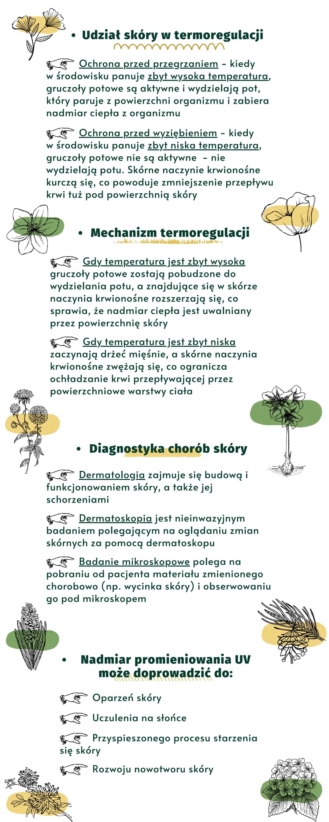 SKÓRA-
-POWŁOKA CIAŁA
budowa, funkcje i choroby skóry
X
Jak są zbudowane skóra i tkanka podskórna?
Skóra człowieka składa się z dwóch warstw