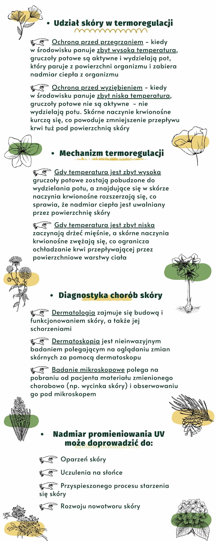 SKÓRA-
-POWŁOKA CIAŁA
budowa, funkcje i choroby skóry
X
Jak są zbudowane skóra i tkanka podskórna?
Skóra człowieka składa się z dwóch warstw