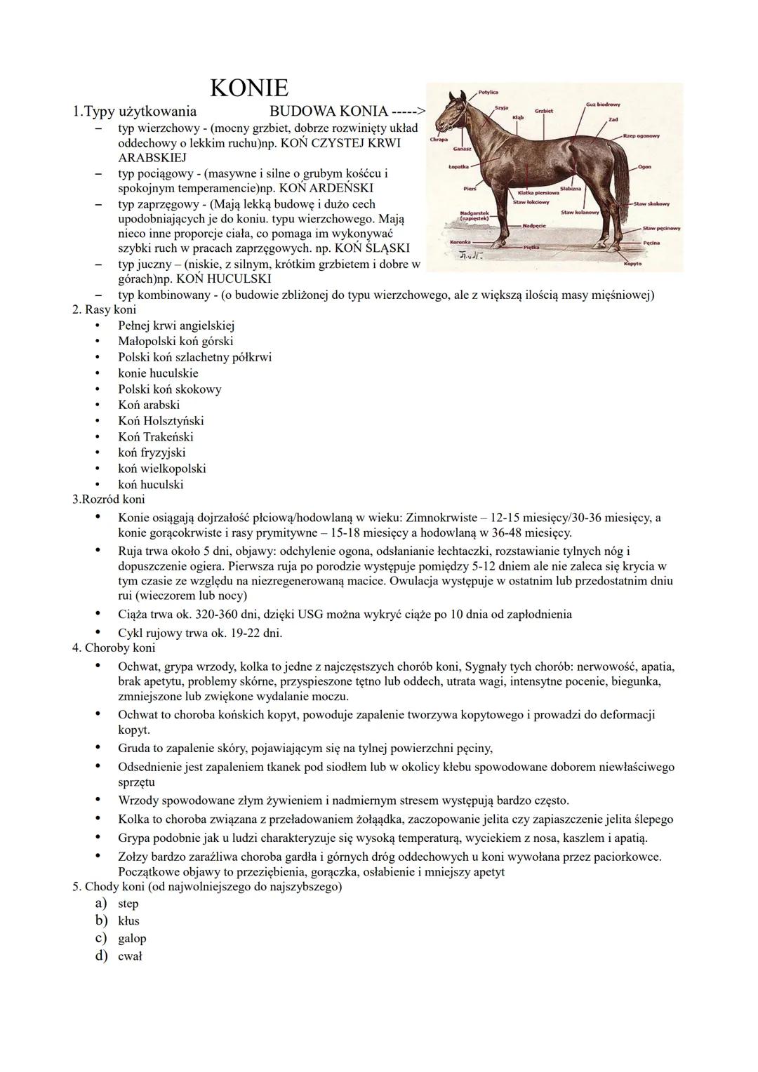 1.Typy użytkowania
KONIE
BUDOWA KONIA ----->
typ wierzchowy(mocny grzbiet, dobrze rozwinięty układ
oddechowy o lekkim ruchu)np. KOŃ CZYSTEJ 