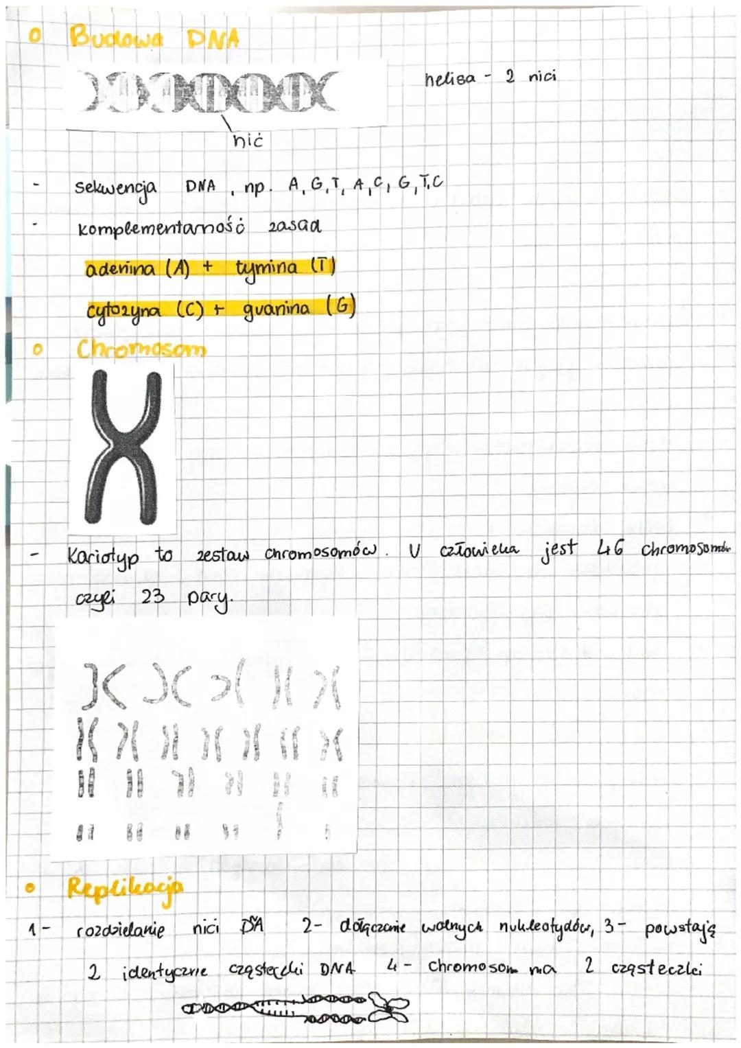 0
O
0
biologica
*
zwijania јегука
nosa
Genetyka to
ności.
Cechy
*cechy dziedziczne - kolor skóry rysy twarzy. umiejętność
w rurke
kolor ocav