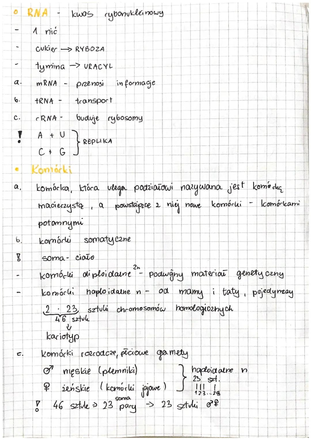 0
O
0
biologica
*
zwijania јегука
nosa
Genetyka to
ności.
Cechy
*cechy dziedziczne - kolor skóry rysy twarzy. umiejętność
w rurke
kolor ocav