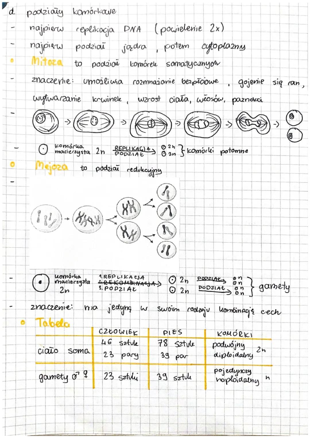 0
O
0
biologica
*
zwijania јегука
nosa
Genetyka to
ności.
Cechy
*cechy dziedziczne - kolor skóry rysy twarzy. umiejętność
w rurke
kolor ocav