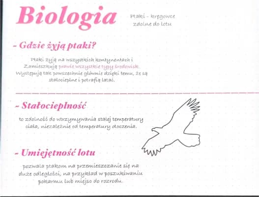 Know Ptaki-kręgowce zdolne do lotu thumbnail
