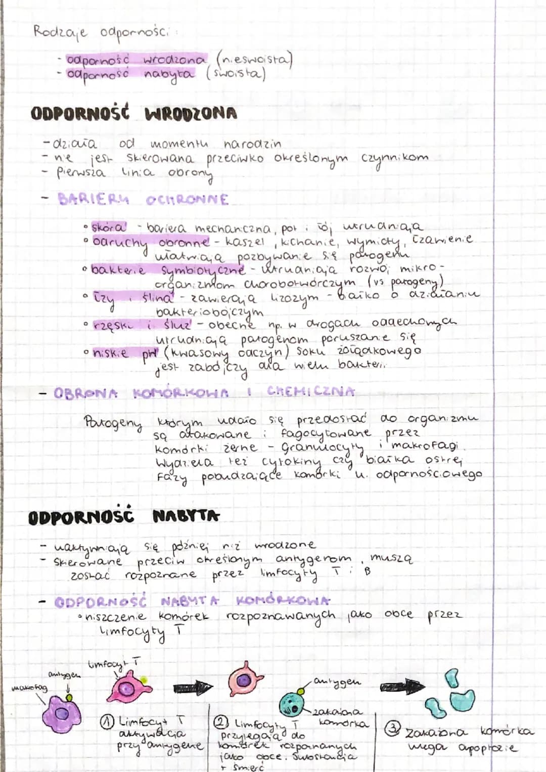u
-
- GRASICA
интаа capornosciowу
= uhiad immunologiczny
TKANKI I NARZĄDY UKŁADU LIMFATYCZNEGO
MIGDAŁKI
bronia organizm przed zakażeniami
od