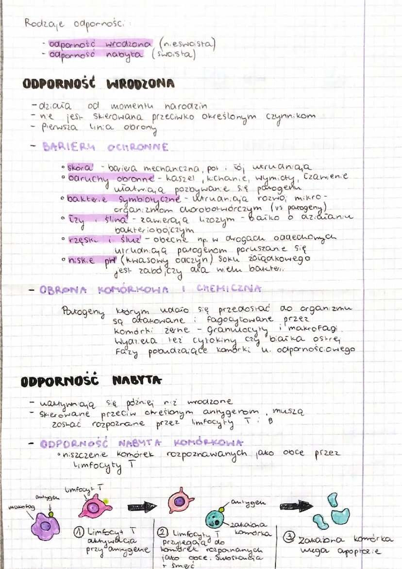 u
-
- GRASICA
интаа capornosciowу
= uhiad immunologiczny
TKANKI I NARZĄDY UKŁADU LIMFATYCZNEGO
MIGDAŁKI
bronia organizm przed zakażeniami
od
