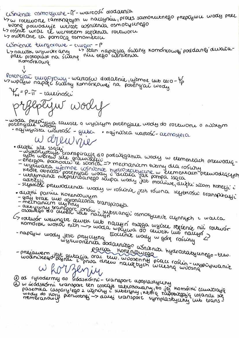 
<p>Funkcje wody w roślinie:</p>
<ul>
<li>Woda pełni wiele istotnych funkcji w organizmach roślin. Jest rozpuszczalnikiem dla substancji hyd