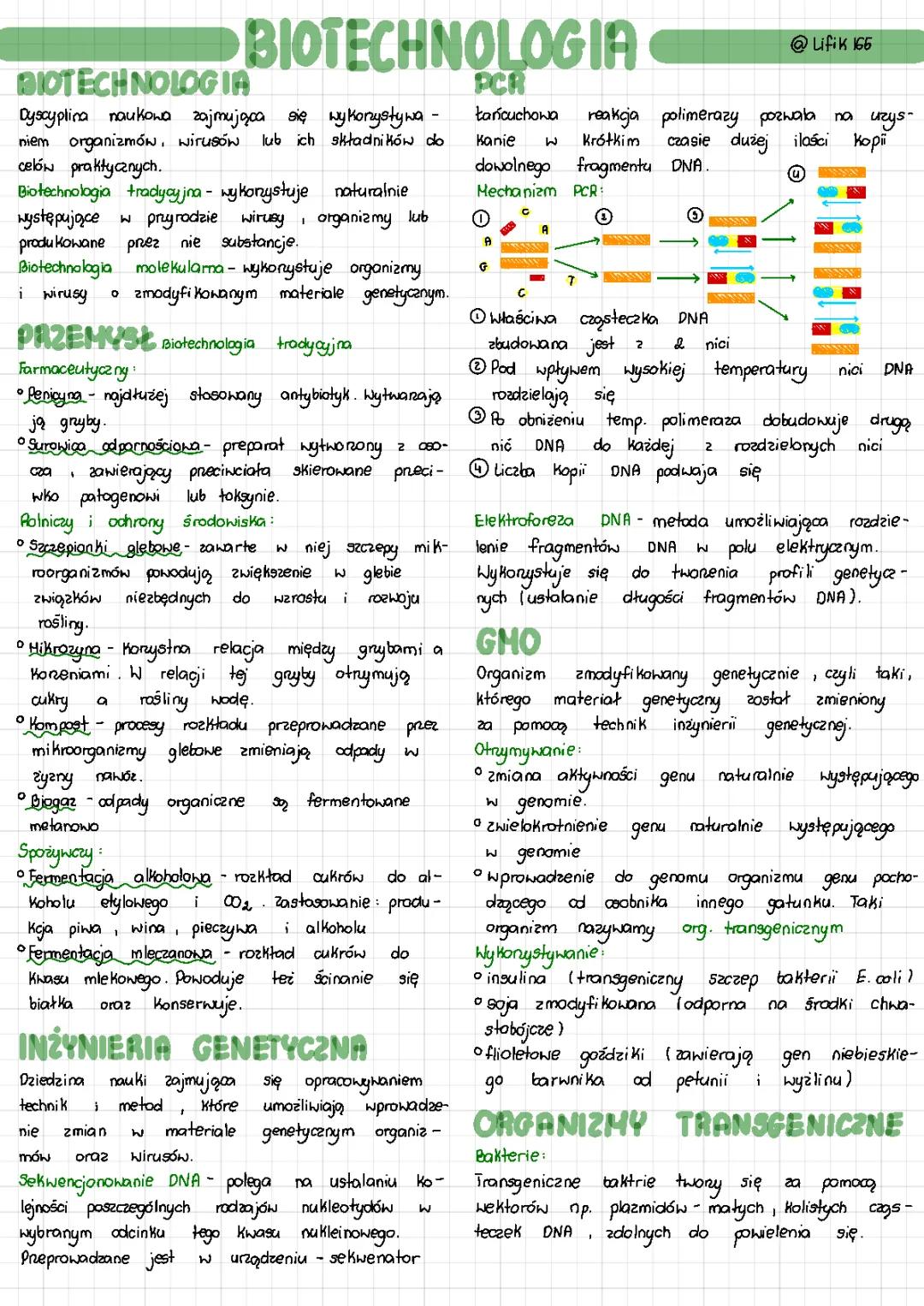 Biotechnologia dla dzieci: Jak działa biotechnologia molekularna i tradycyjna?