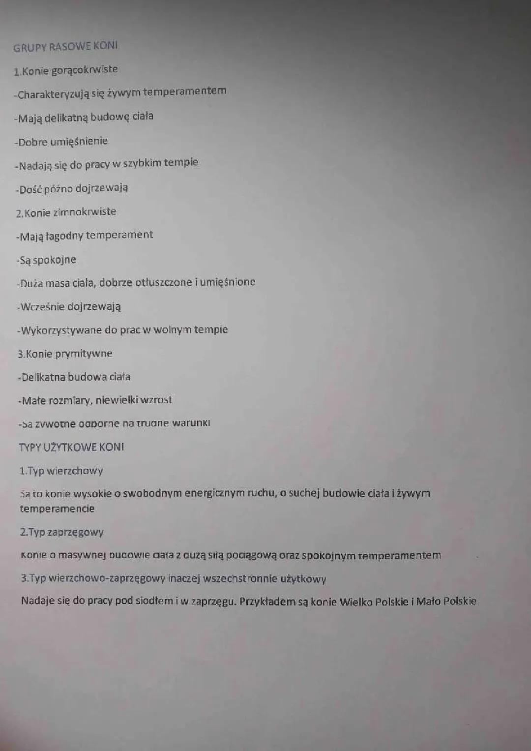 Wszystko o Koniach: Rasy, Typy i Grupy