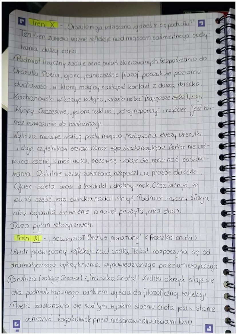 YZEN
RADEON
L
Rodzaj literacki · MIRYKA
Gatunek literack TREN
Epoka literocka RENESANS
Czas i miejsce akcji
Jako cykl poetycki
YAN KOCHANOWS