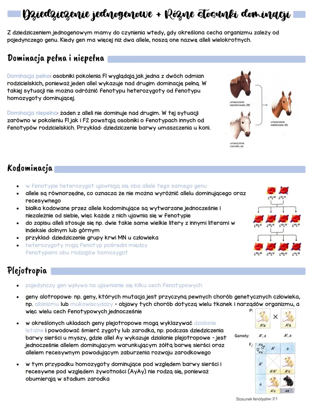 Dziedziczenie jednogenowe + Rózne štocunki dominacji
Z dziedziczeniem jednogenowym mamy do czynienia wtedy, gdy określona cecha organizmu za