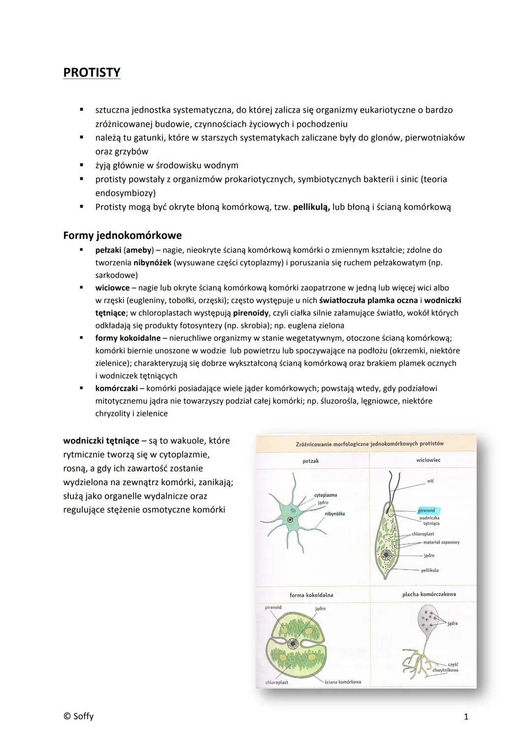PROTISTY
■
▪
■
■
Formy jednokomórkowe
pełzaki (ameby) - nagie, nieokryte ścianą komórkową komórki o zmiennym kształcie; zdolne do
tworzenia 