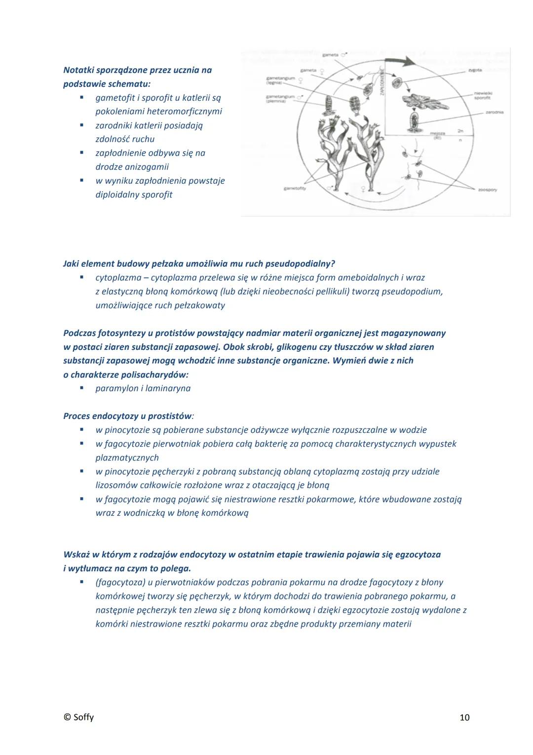 PROTISTY
■
▪
■
■
Formy jednokomórkowe
pełzaki (ameby) - nagie, nieokryte ścianą komórkową komórki o zmiennym kształcie; zdolne do
tworzenia 