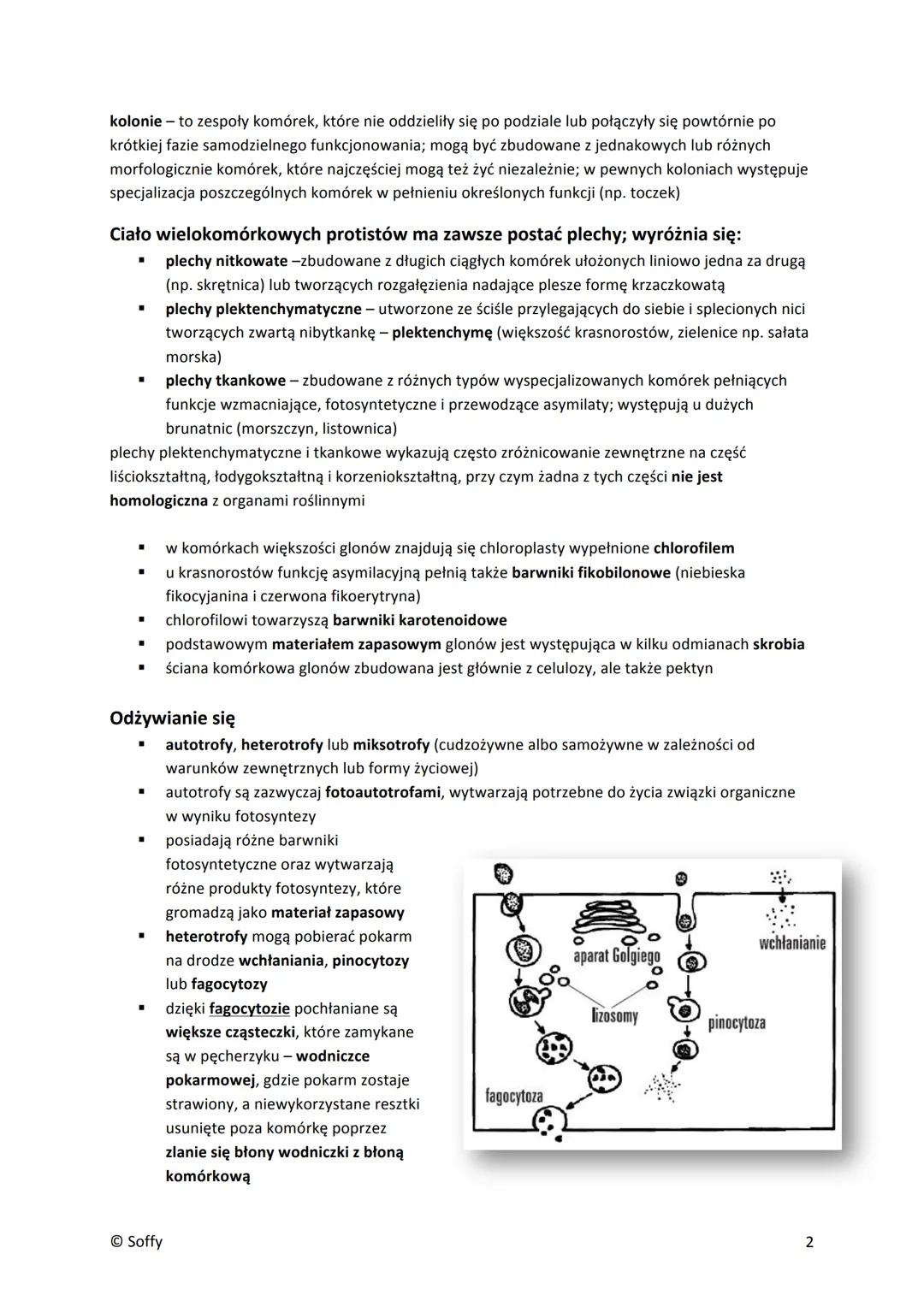 PROTISTY
■
▪
■
■
Formy jednokomórkowe
pełzaki (ameby) - nagie, nieokryte ścianą komórkową komórki o zmiennym kształcie; zdolne do
tworzenia 