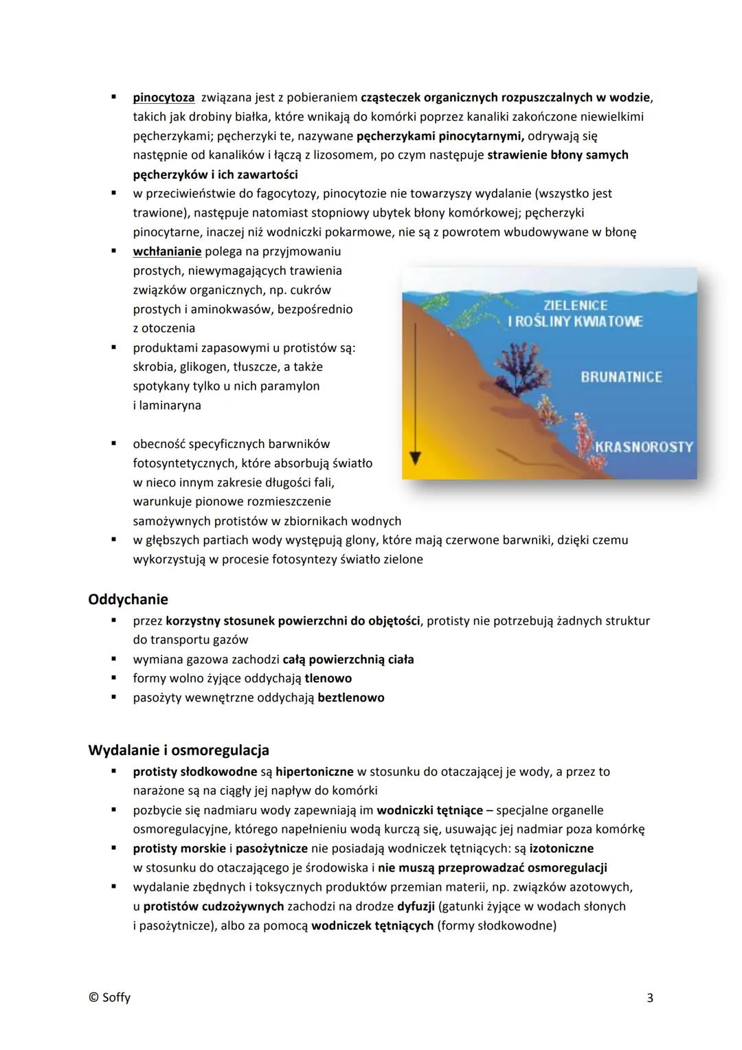 PROTISTY
■
▪
■
■
Formy jednokomórkowe
pełzaki (ameby) - nagie, nieokryte ścianą komórkową komórki o zmiennym kształcie; zdolne do
tworzenia 