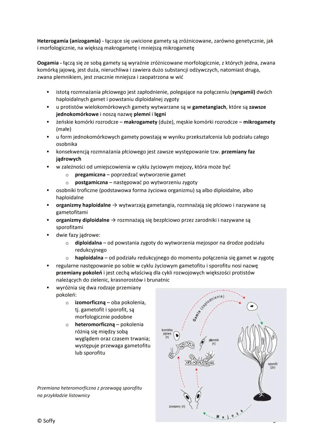 PROTISTY
■
▪
■
■
Formy jednokomórkowe
pełzaki (ameby) - nagie, nieokryte ścianą komórkową komórki o zmiennym kształcie; zdolne do
tworzenia 