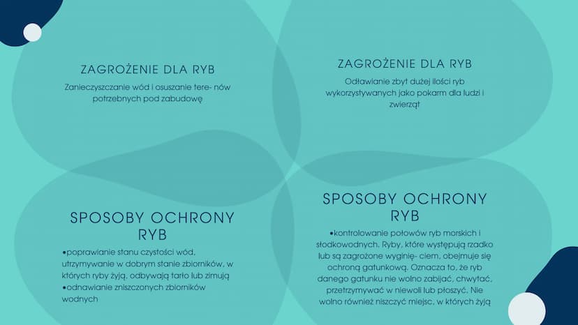 PRZEGLĄDI
ZNACZENIE RYB CZEGO DOWIEMY SIĘ Z TEJ
PREZENTACJI?
.Znaczenie ryb w przyrodzie
•Znaczenie ryb dla człowieka
•Zagrożenia i sposoby 