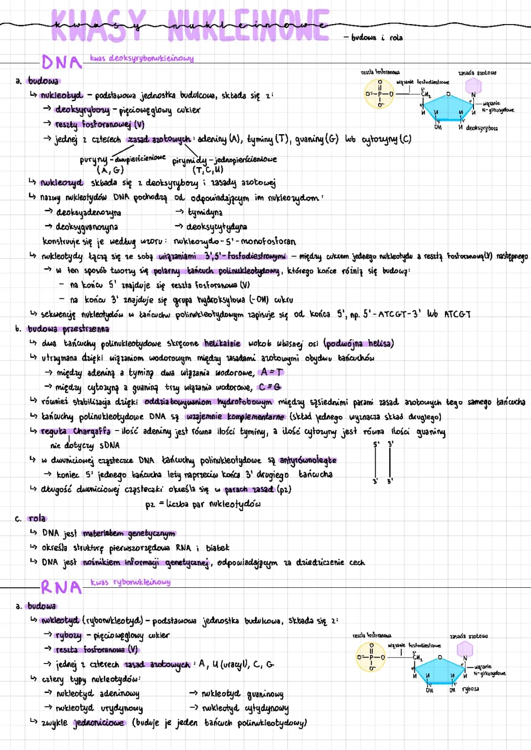 Budowa i rola kwasów nukleinowych - Biologia na czasie 4 PDF, Zakres rozszerzony, Podstawowy, Flipbook