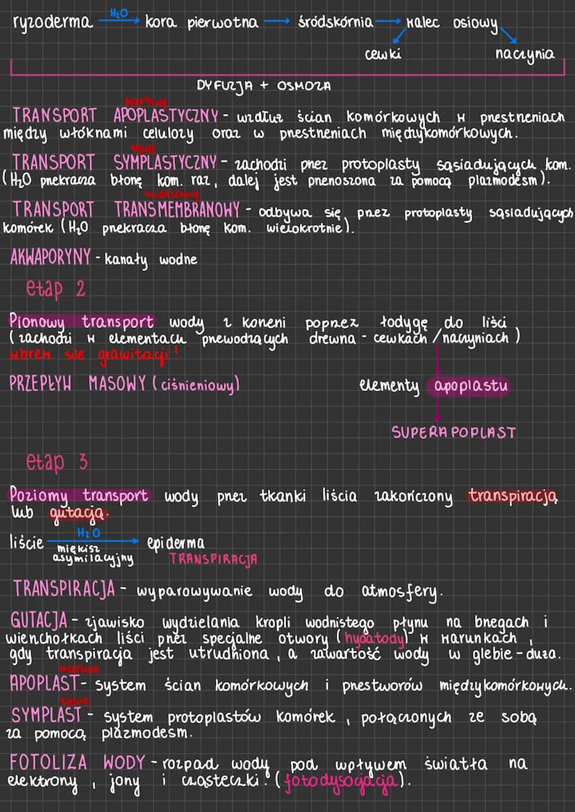 Gospodarka wodna roślin
ROŚLINY LADOWE
ROŚLINY PIERWOTNIE
HODNE
chłonięcie H₂0
cato powienchnią ciała
TRANSPIRACJA
usuwanie H₂O w stanie
GAZ