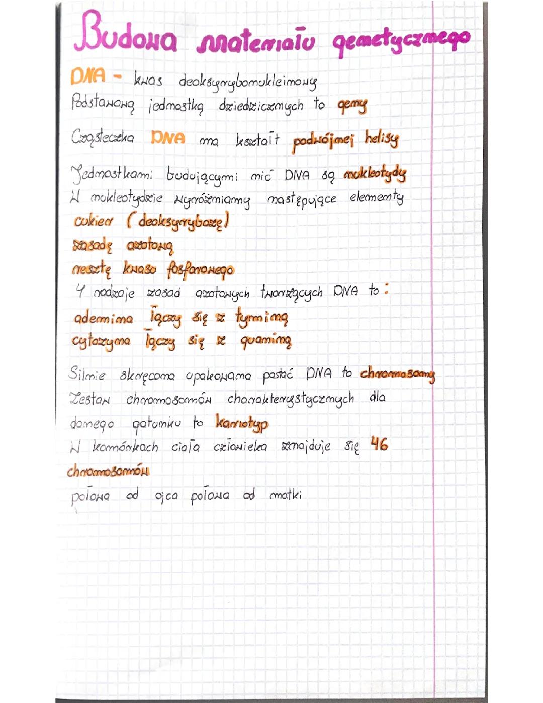 Budowa DNA i Materiału Genetycznego 🧬