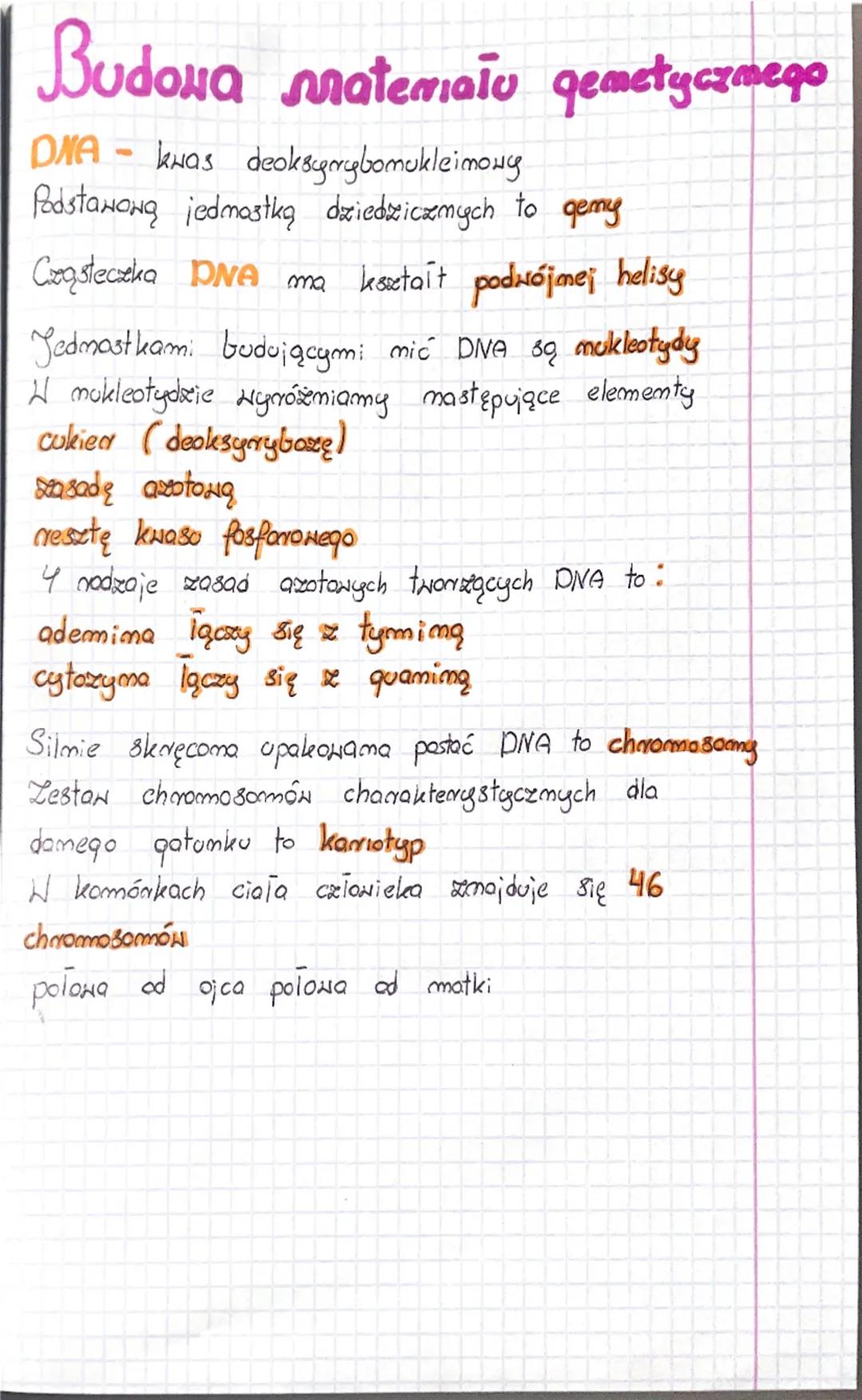 Budowa materiału gemetycznego
DNA - kwas deoksynybomukleimony
Podstawową jednostką dziedzicznych to gemy
Cząsteczka DNA ma kessetait podwójn