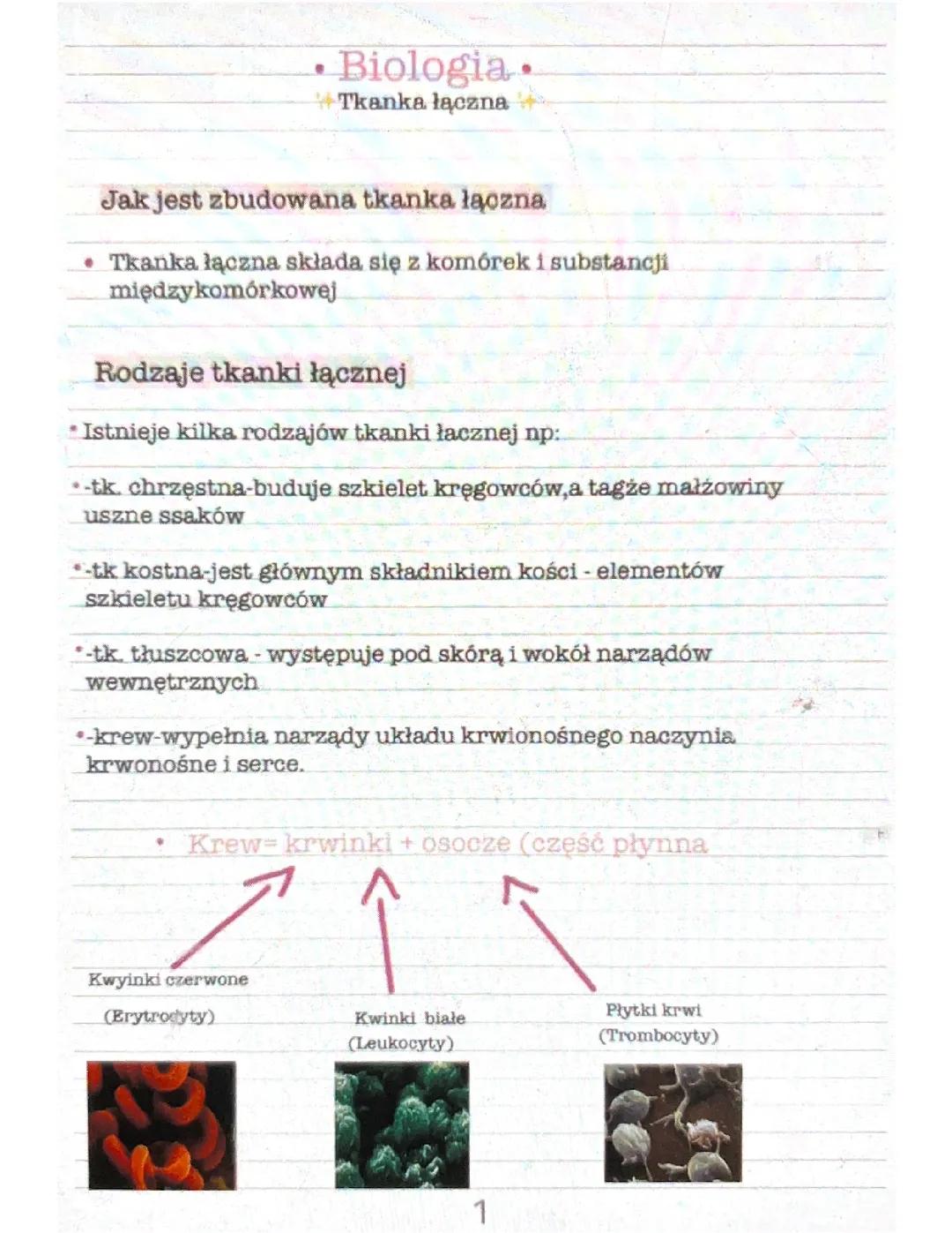 Biologia tkanka łączna 