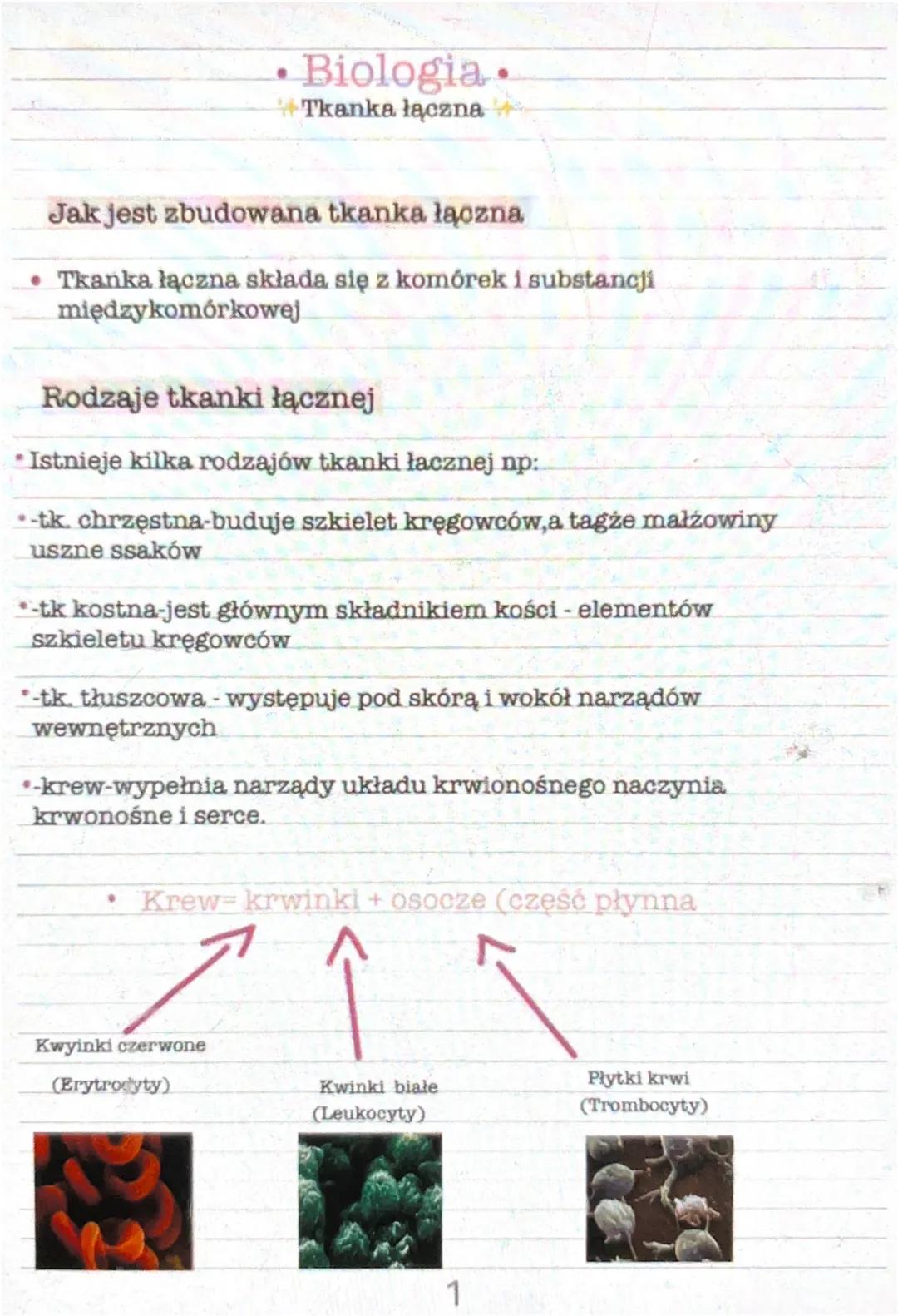 •
Biologia.
Tkanka łączna
Jak jest zbudowana tkanka łączna
Tkanka łączna składa się z komórek i substancji
międzykomórkowej
Rodzaje tkanki ł