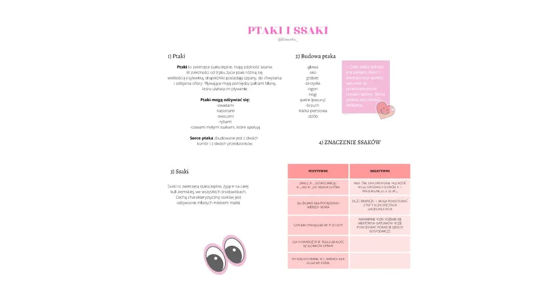 PTAKI I SSAKI <> Klasa 6