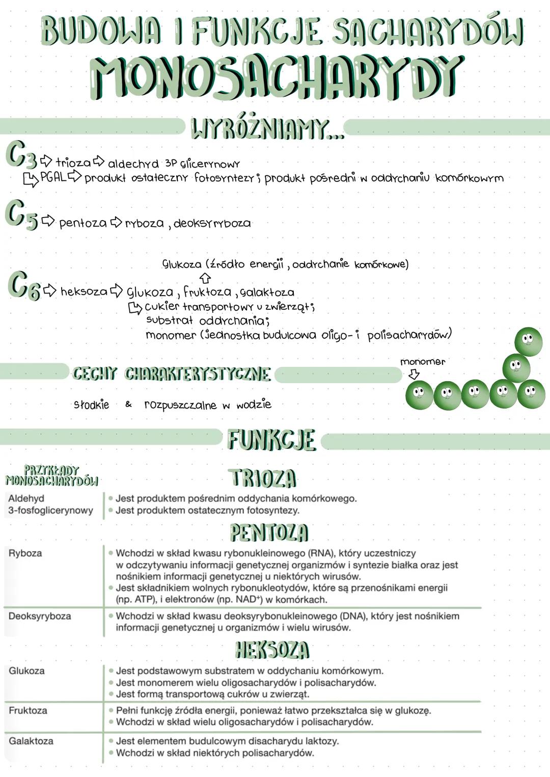 BUDOWA I FUNKCJE SACHARYDOLJ
MONOSACHARYDY
WYRÓŻNIAMY...
G3
trioza aldechyd 3P glicerynowy
PGAL produkt ostateczny fotosyntezy i produkt poś