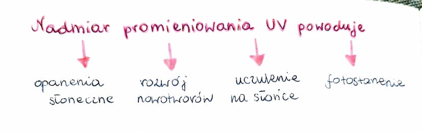 Naskórek
Skóra
właściwa
Tkanka
podskórna
naskórek
jest zbudajany 2 повто-
Inka wielowarstwowego pła-
skiego
✓
warstwa
zrogonaciała
•mourtre 