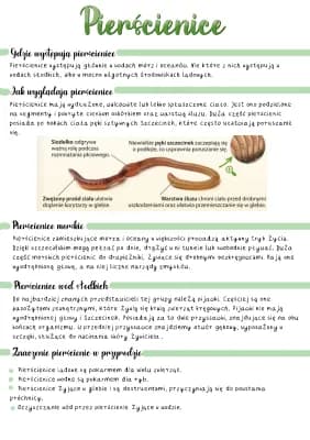 Know Pierścienice  thumbnail