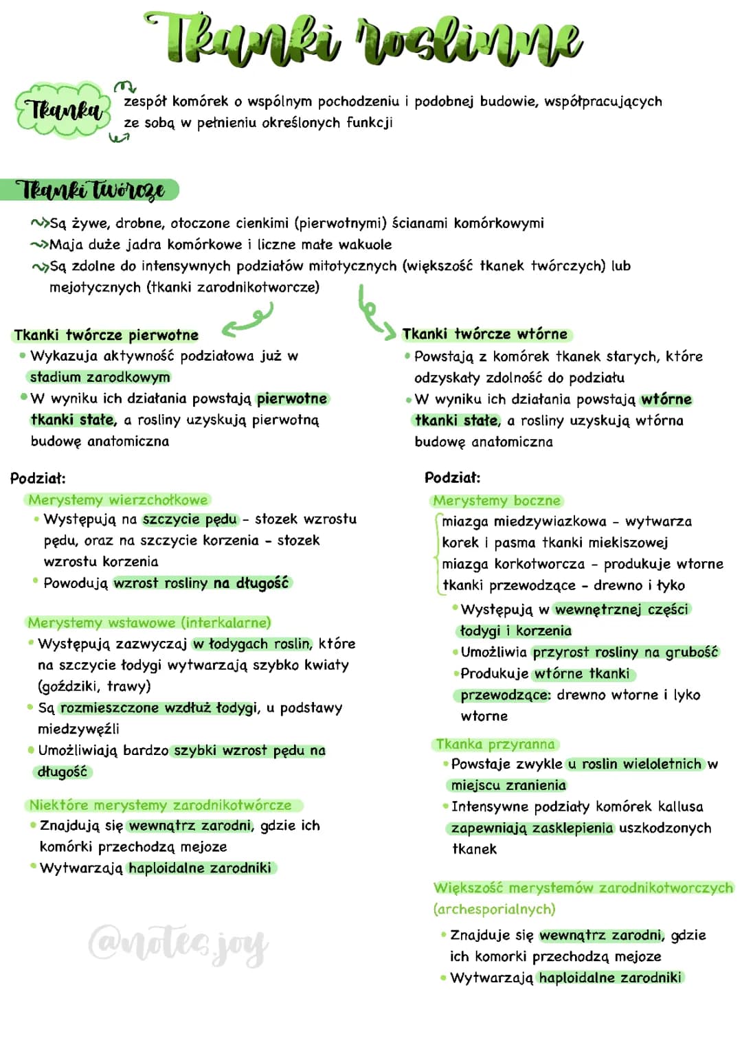 Tkanki roślinne klasa 5: Rodzaje, budowa i funkcje