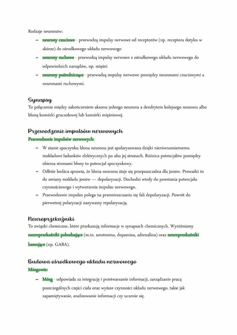 Układ nerwowy
Funkcje układu nerwowego
~
~
Odbiór i analiza bodźców pochodzących ze środowiska zewnętrznego i z wnętrza ciała.
Reakcja na bo