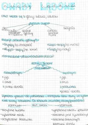 Know Biologia- Owady- organizmy typowo lądowe  thumbnail