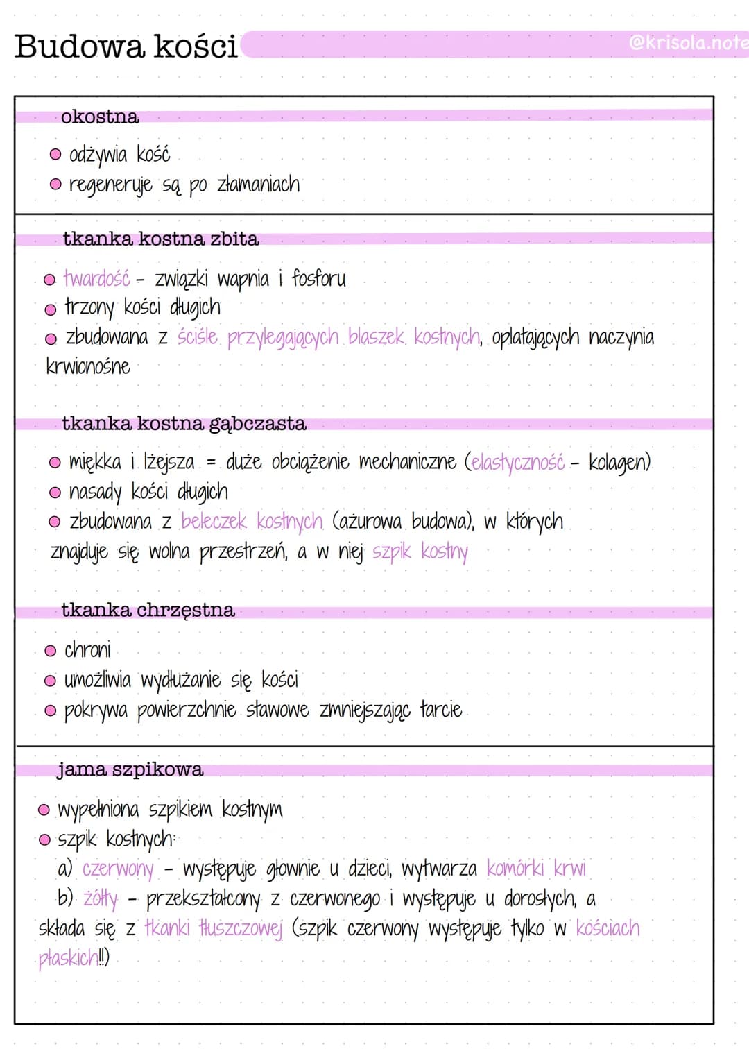 
<p>Szkielet osiowy człowieka składa się z czaszki, mostka, żeber i kręgosłupa, a także z kończyn górnych i dolnych. Szkielet jest podzielon