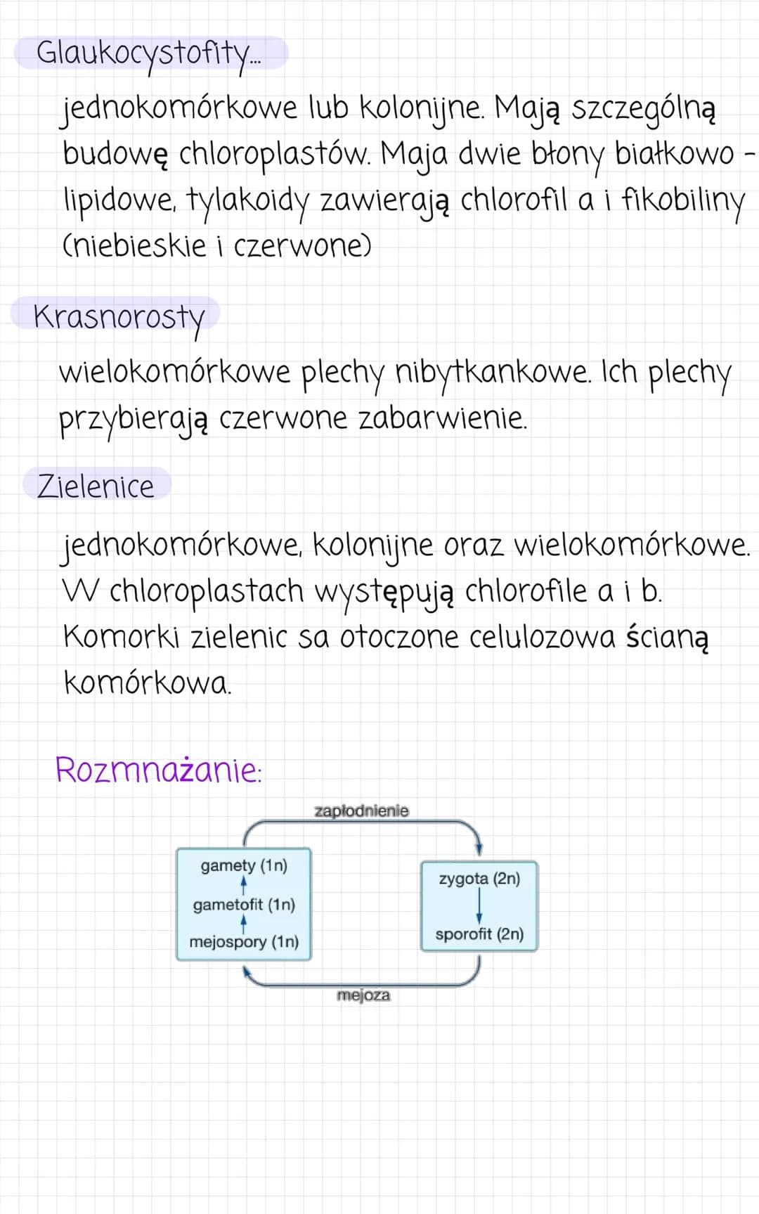 Rośliny pierwotnie
wodne.....
Formy morfologiczne:
kokoidalne
-
• formy jednokomorowe
nieruchliwe
●
kolonie zbudowane z komórek
połączonych 