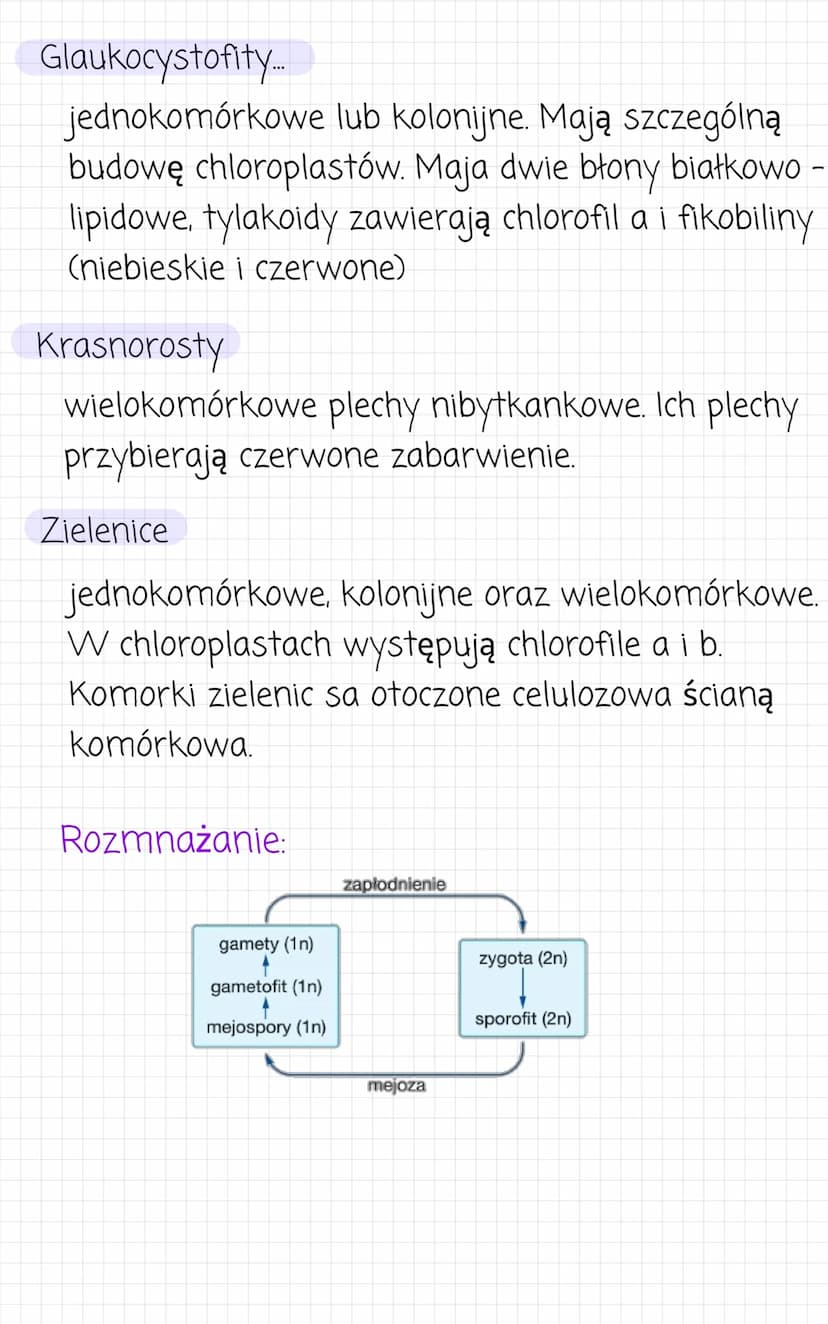 Rośliny pierwotnie
wodne.....
Formy morfologiczne:
kokoidalne
-
• formy jednokomorowe
nieruchliwe
●
kolonie zbudowane z komórek
połączonych 