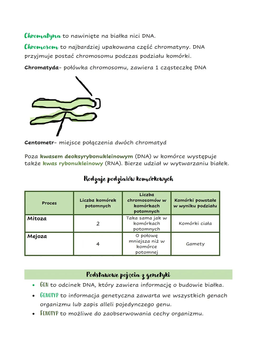 Biologia klasa 8
TEMAT: Genetyka- podsumowanie.
Genetyka to nauka zajmująca się dziedziczeniem cech i zmiennością
organizmów.
●
Cechy organi