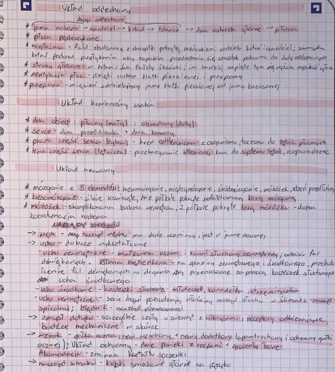 L
czaszka
"Układ szkieletowy
kigyi szyjne
A
mostek
Tapatka
Yveni pifsione
wayne kręgi kizyżone
miednic
kredi ogonowe
zebra
-kość udora
ramie