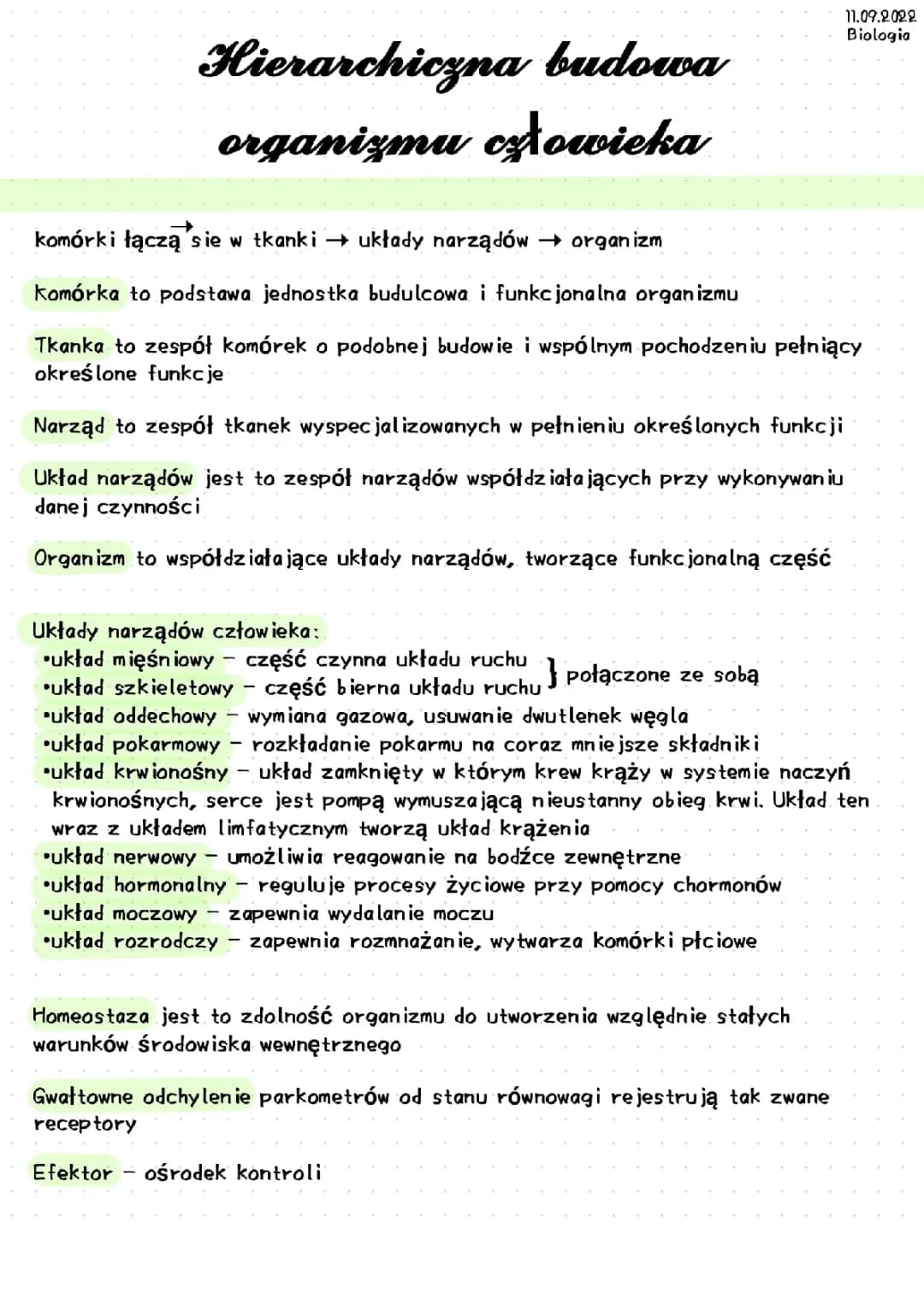 Hierarchiczna budowa organizmu człowieka 