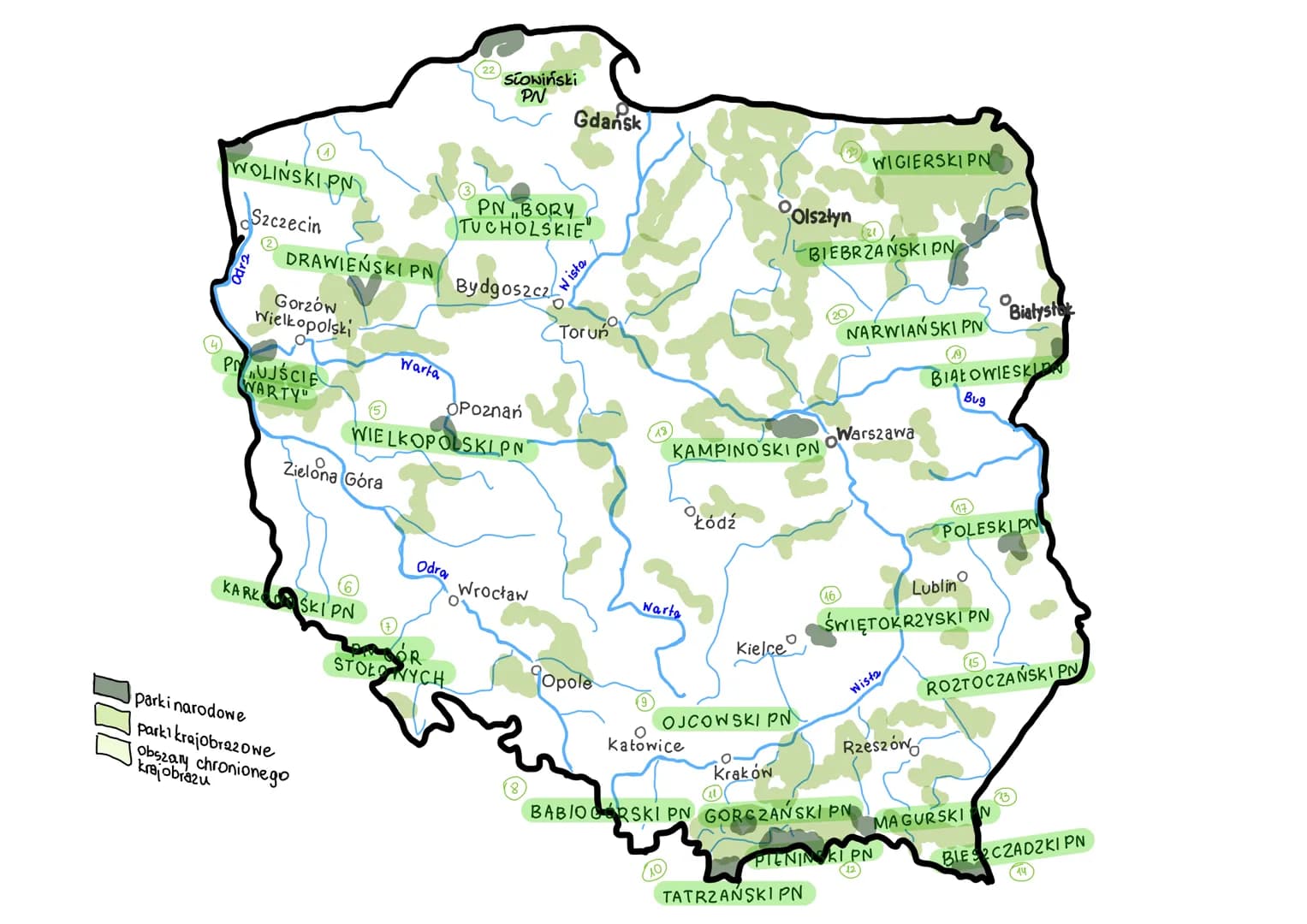 (4)
WOLIŃSKI PN
Szczecin
S
8
DRAWIEŃSKI PN
Gorzów
Wielkopolski
PUJŚCIE
WARTY"
Zielona Góra
KARK SKIPN
parki narodowe
parki krajobrazowe
Obsz