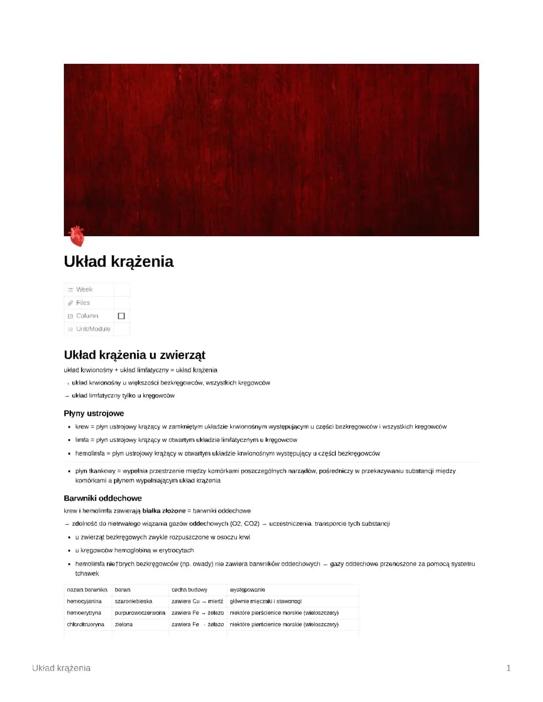 Układ krwionośny