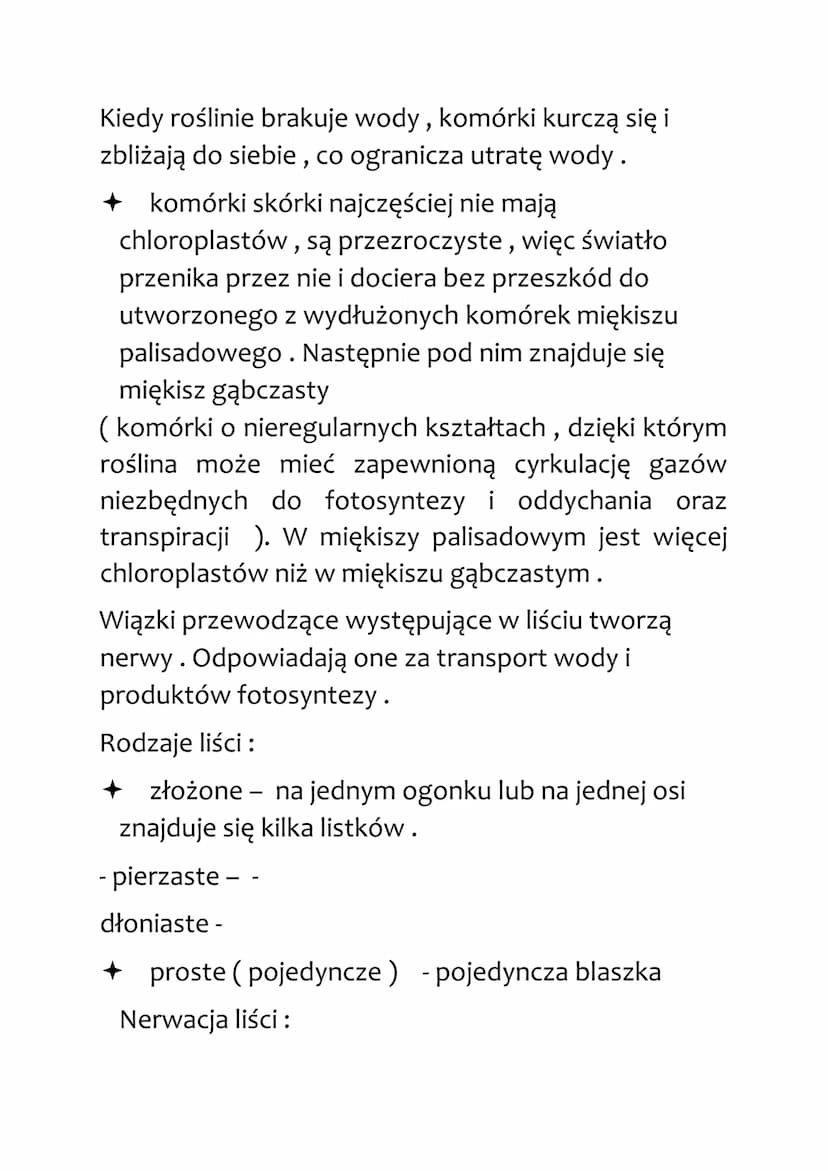 LIŚĆ - WYTWÓRNIA POKARMU
Funkcje:
+ wytwarzanie związków organicznych w procesie
fotosyntezy
wymiana gazowa tlenu i CO2
+ transpiracja, czyl