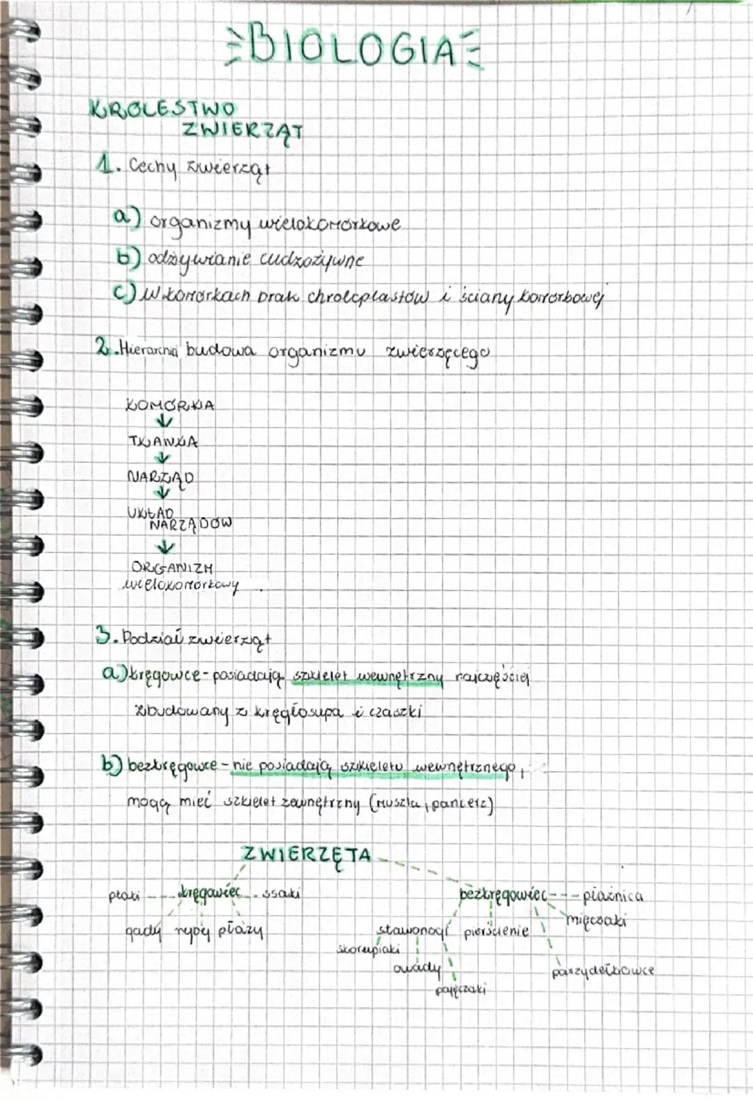 # BIOLOGIA

KROLESTWO
ZWIERZĄT

1. Cechy zweerząt

a) organizmy wielokomórkowe
b) odzywianie cudzozywne
c) Wkonorkach Drak chroleplastów i ś