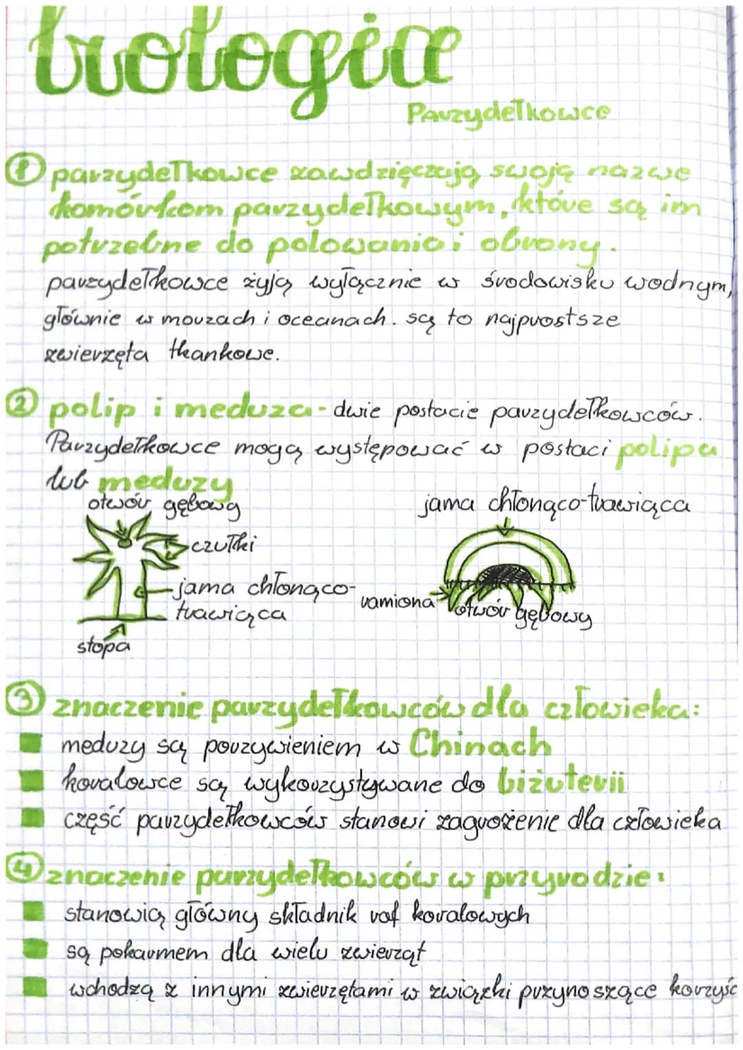 trologia
Pauzydełkowce
parzydełkowce zawdzięczują swoją nazwe
któve są im
homovkcomparzydelkowym,
potuzeline do polowanit: obrony.
parzydełk