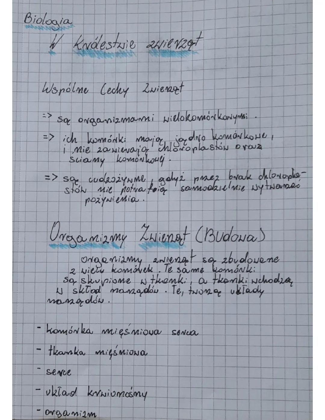 Biologia Klasa 6: Wszystko o Królestwie Zwierząt