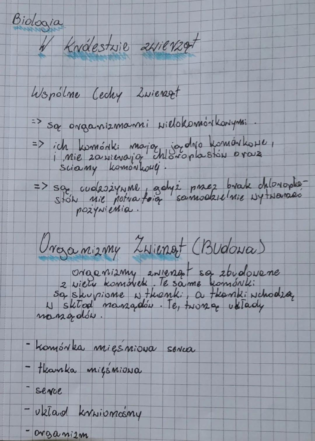 Biologia
-
W Królestwie zwierząt
Wspólne Cechy Zwierząt
=>
Są organizmami wielokomórkowymi
=> ich komórki mają jądro komórkowe,
i nie zawier