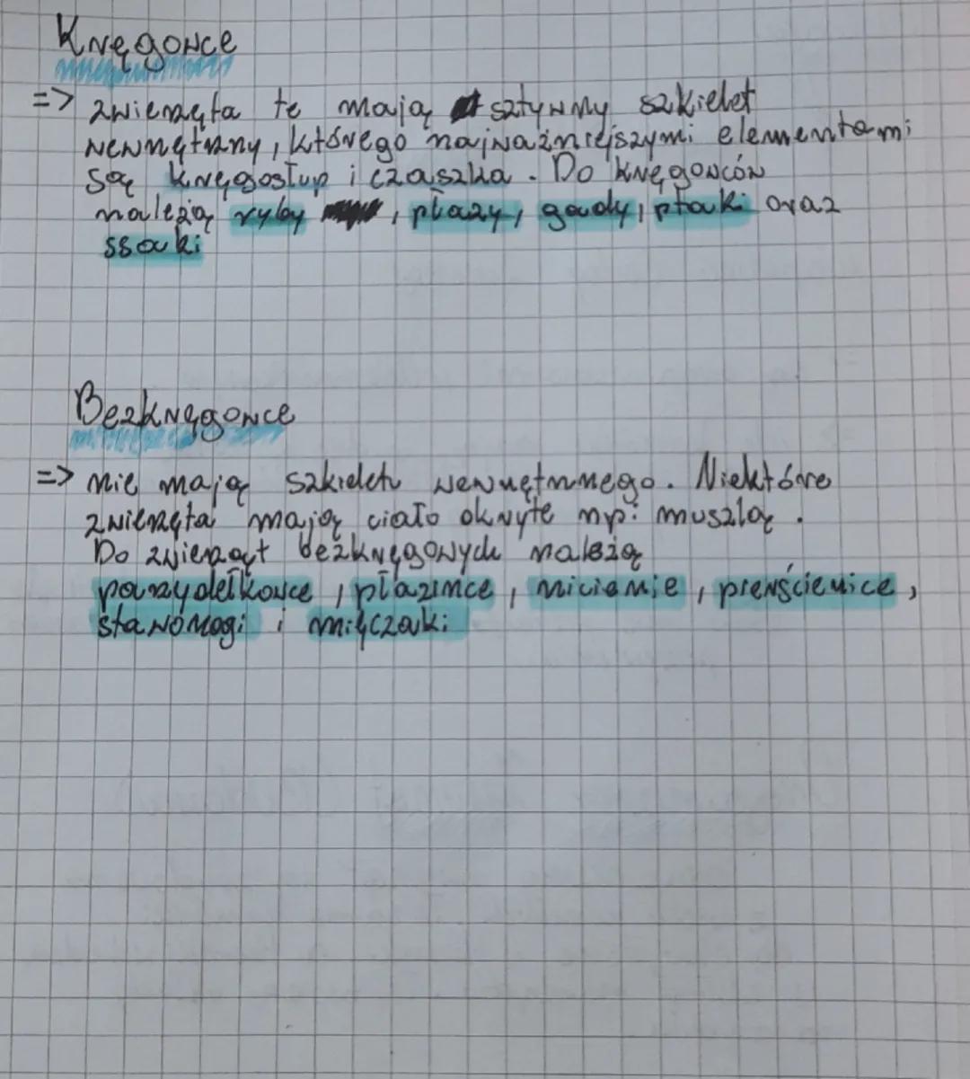 Biologia
-
W Królestwie zwierząt
Wspólne Cechy Zwierząt
=>
Są organizmami wielokomórkowymi
=> ich komórki mają jądro komórkowe,
i nie zawier
