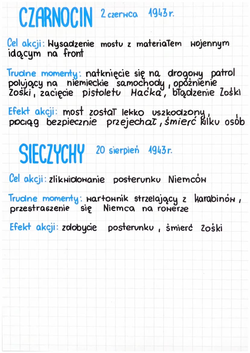 KAMIENIE NA SZANIEC
ALEKSY DAWIDOWSKI - ALEK
WYGLĄD: wysoki, szczupły, niebieskie oczy, płowa
czupryna, jasne włosy, wysportowany
CECHY CHAR